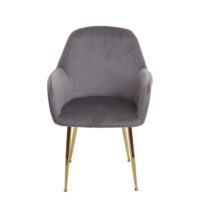 2er-Set Esszimmerstühle Retro Design Samt goldene Beine grau