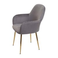 2er-Set Esszimmerstühle Retro Design Samt goldene Beine grau