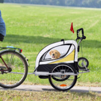 2in1 Kinderanhänger Fahrradanhänger Jogger Kinderfahrradanhänger