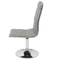 2x Esszimmerstuhl Dieburg ~ vintage betongrau