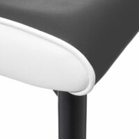 2x Esszimmerstuhl Kunstleder ~ Sitzfläche