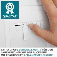 Kühlbox mit Lautsprecher, 21 Liter, stylisches Design, ideal für Musikliebhaber.