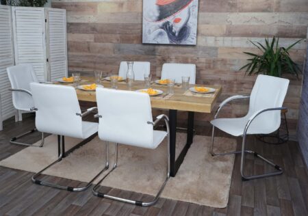 6er-Set Freischwinger Esszimmerstuhl Stahl Küchenstuhl weiss