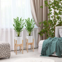 Blumenständer 2er Set aus Holz Blumentopfhalter