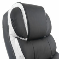 Kunstleder ~ schwarz