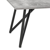 Couchtisch Säter 120 x 60 x 45 cm Betonoptik