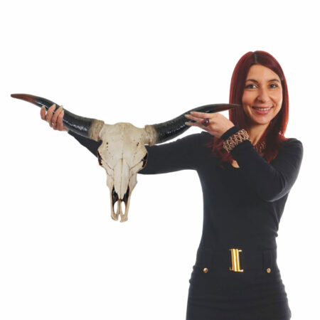 Deko Schädel 75cm Stier