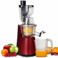 Entsafter Slow Juicer Saftpresse ~ 500W