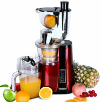 Entsafter Slow Juicer Saftpresse ~ 500W