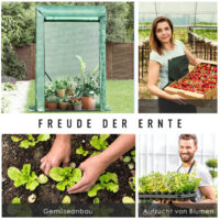 Foliengewächshaus 100x50x150cm Tomatenhaus Treibhaus