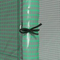 Foliengewächshaus Gewächshaus 200x80x200cm Treibhaus