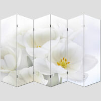 Foto-Paravent Paravent Raumteiler  180x240cm