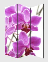Foto-Paravent Raumteiler 180x120cm Orchidee