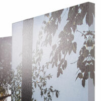 Foto-Paravent mit Schallschutz Trennwand 180x245cm Waldsee