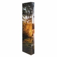 Foto-Paravent mit Schallschutz Trennwand 180x245cm Waldsee