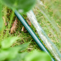 Frühbeet Gewächshaus Treibhaus Tomatenhaus 2 Fenster 120cm