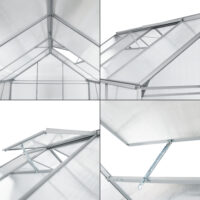 Gewächshaus Treibhaus Oisterwijk 250x190cm