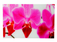 Glasbild T116 Poster Motiv 40x60cm Orchidee