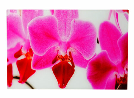 Glasbild T116 Poster Motiv 40x60cm Orchidee
