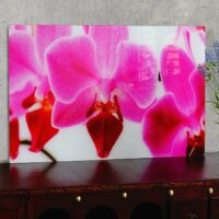 Glasbild T116 Poster Motiv 40x60cm Orchidee