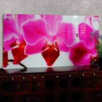 Glasbild Wandbild 50x100cm