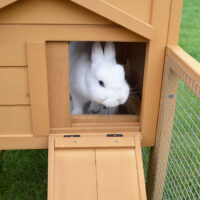 Hasenstall Kaninchenstall Hasenvilla ~ Freilauf