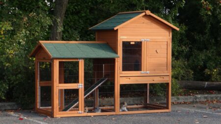 Hasenstall Kaninchenstall Prestige Medium mit Nagerschutz und Auslauf