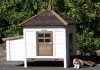 Hasenstall für 1-3 Kaninchen - Kaninchenstall Ambiance