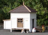 Hasenstall für 2-4 Kaninchen - Kaninchenstall Ambiance Large