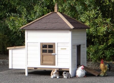 Hasenstall für 2-4 Kaninchen - Kaninchenstall Ambiance Large