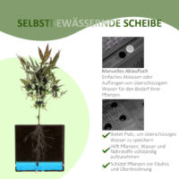 Hochbeet Tami 2-teiliger Pflanzkasten Blumenkasten 50x50x33cm
