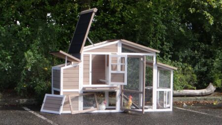 Hühnerstall 2-4 Hühner Leah