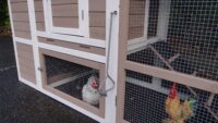 Hühnerstall 2-4 Hühner Leah mit 2 Auslaufmodulen