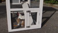 Hühnerstall 3 -4 Hühner Niels Kunststoff Dach und Auslauf