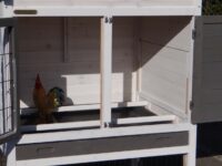 Hühnerstall 3-5 Hühner Prestige Medium