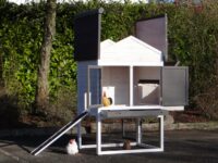 Hühnerstall 3-5 Hühner Prestige Medium - mit Legenest