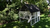 Hühnerstall 4-6 Hühner Kathedrale mit Stauraum