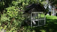 Hühnerstall 4-6 Hühner Kathedrale mit Stauraum