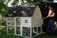 Hühnerstall 4-6 Hühner Kathedrale mit Stauraum