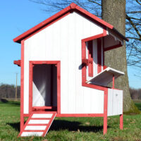 Hühnerstall Hühnerhaus Greta im schwedischen Design