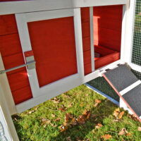 Hühnerstall Hühnervoliere Frieda  ~ Freilaufgehege