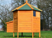 Hühnerstall Hühnervoliere Pavillon mit Nistkasten