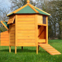 Hühnerstall Hühnervoliere Pavillon mit Nistkasten