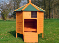 Hühnerstall Hühnervoliere Pavillon mit Nistkasten