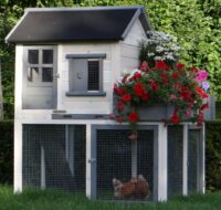 Hühnerstall für 4 Hühner Sunshine - Hochparterre