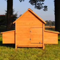 Hühnervoliere Hühnerstall Chicken mit zwei Nistkästen