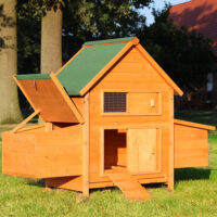 Hühnervoliere Hühnerstall Chicken mit zwei Nistkästen