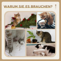 Kratzbaum 114cm Kletterbaum mit Hängematte