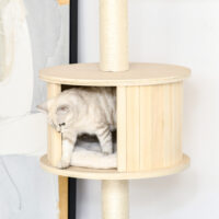 Kratzbaum Katzenbaum Deckenhoch 50x50x232-252cm