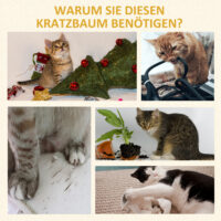 Kratzbaum Katzenbaum Katzenkratzbaum Katzen 30x55x96cm